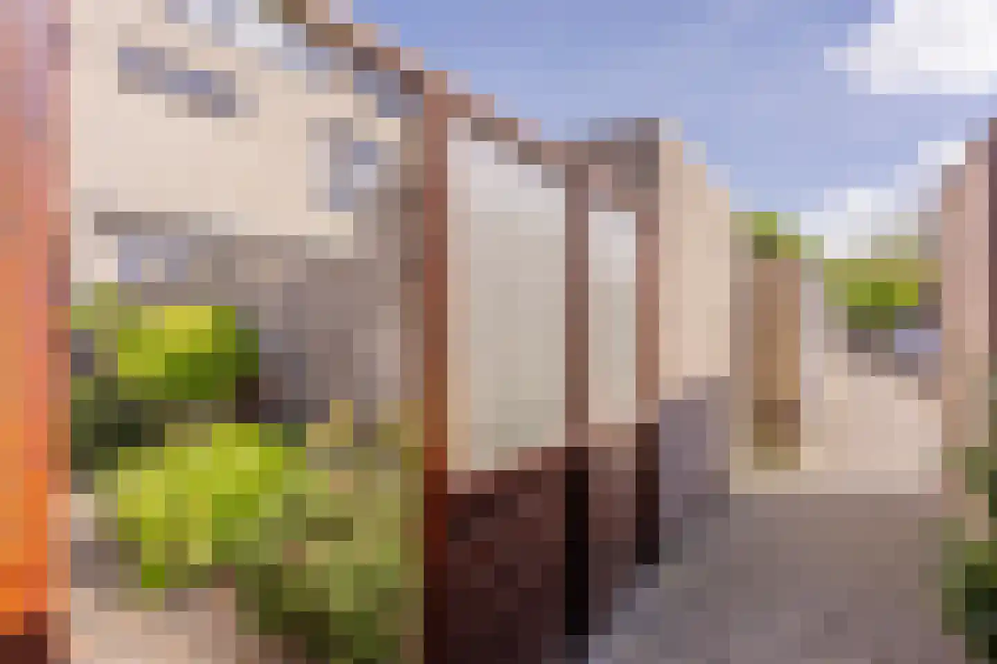 Van Doornicksingel 20 Wateringen thumbnail 27