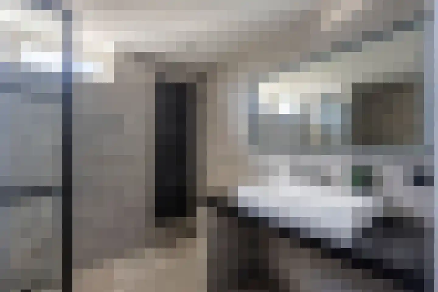 Van Doornicksingel 20 Wateringen thumbnail 31