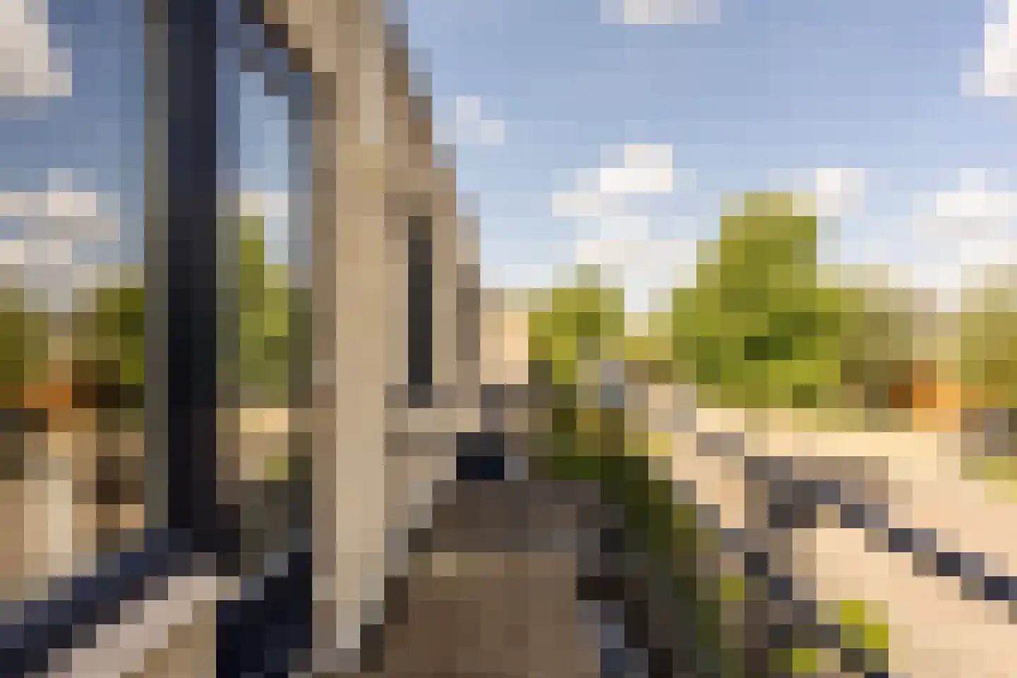 Van Doornicksingel 20 Wateringen thumbnail 41