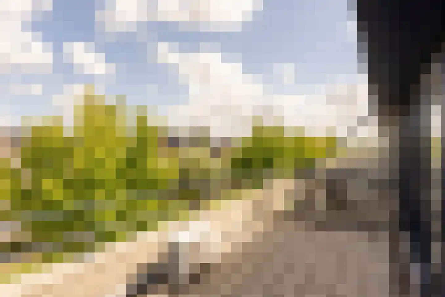 Van Doornicksingel 20 Wateringen thumbnail 45