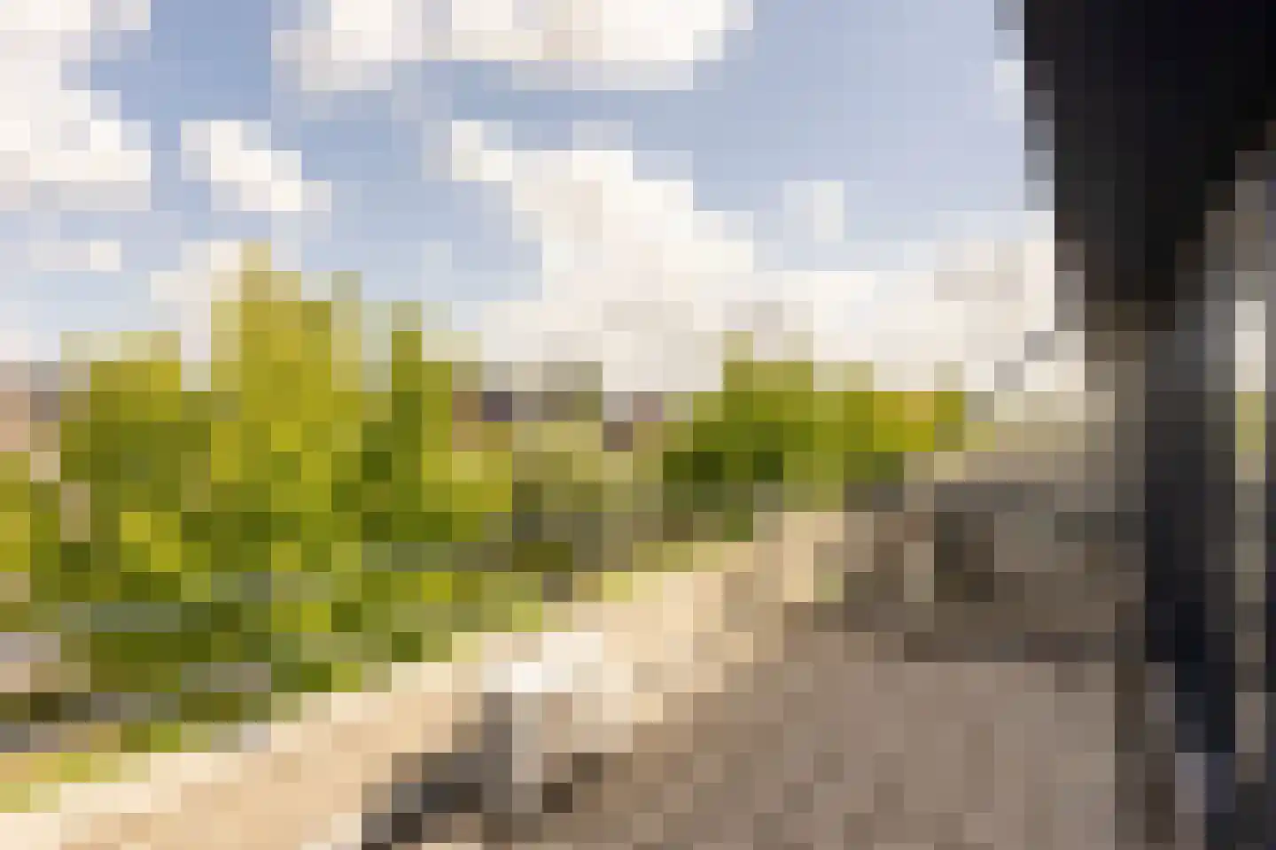 Van Doornicksingel 20 Wateringen thumbnail 45