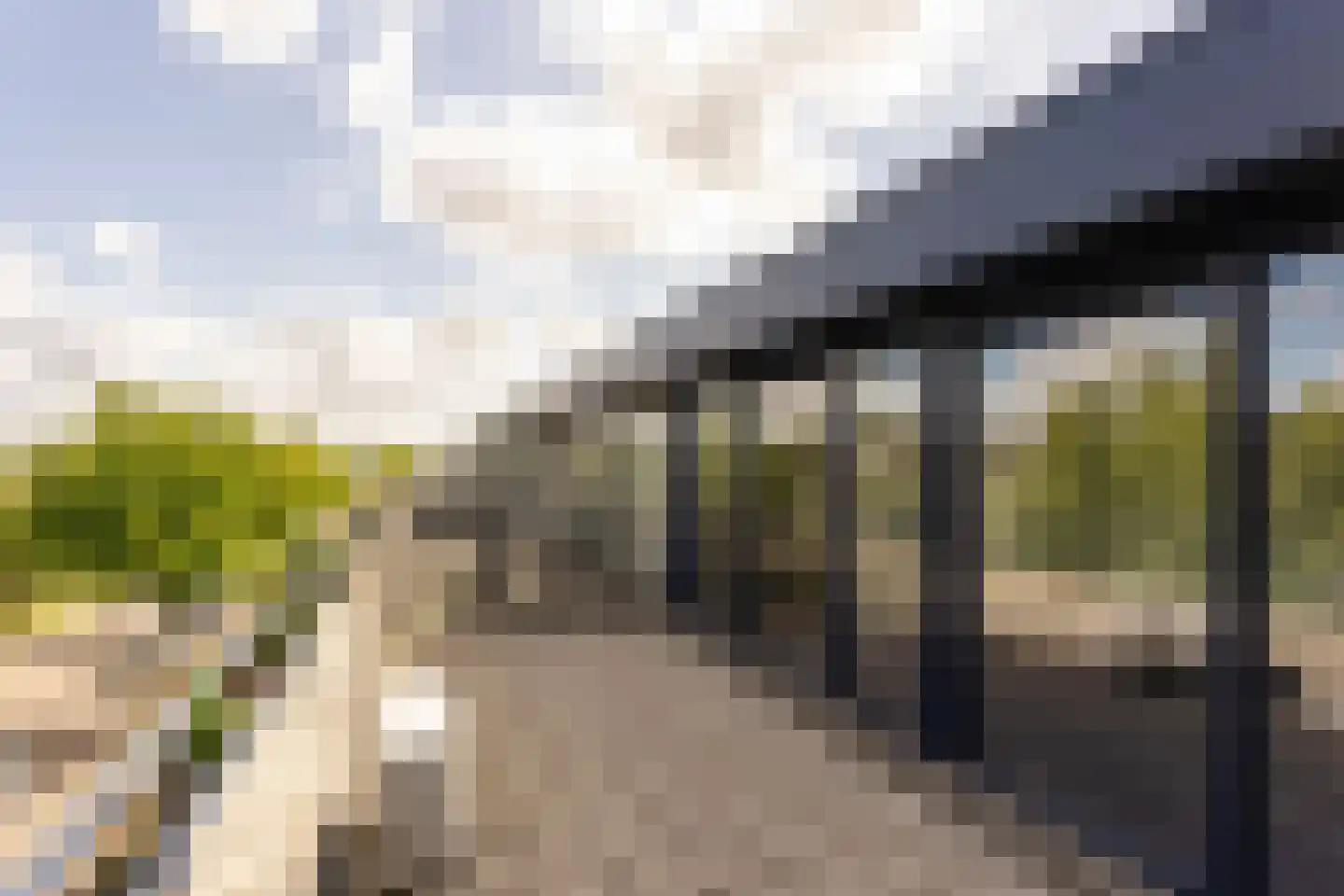 Van Doornicksingel 20 Wateringen thumbnail 46