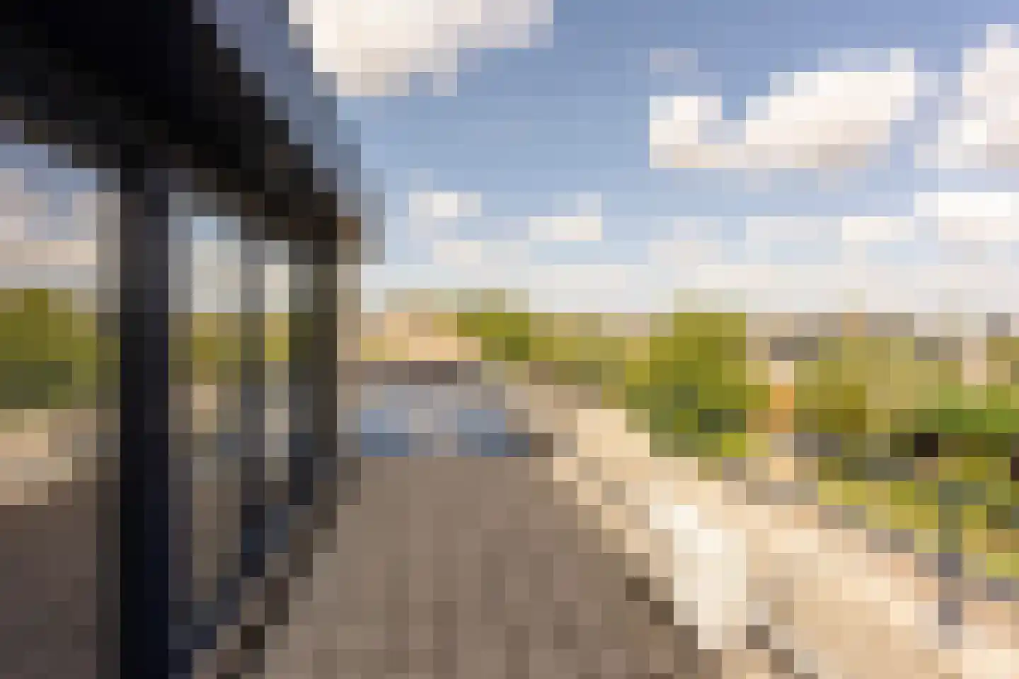 Van Doornicksingel 20 Wateringen thumbnail 47