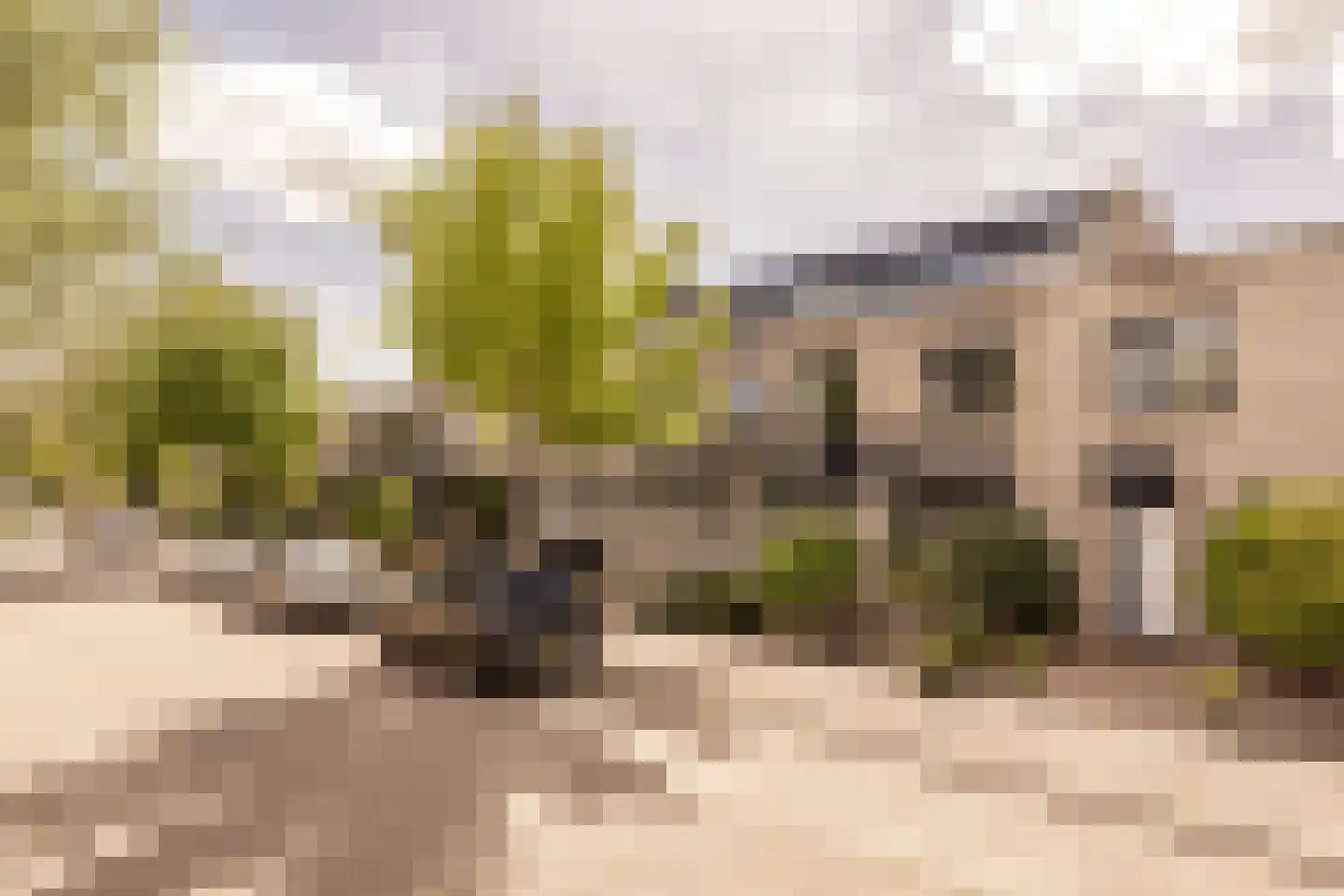 Van Doornicksingel 20 Wateringen thumbnail 48