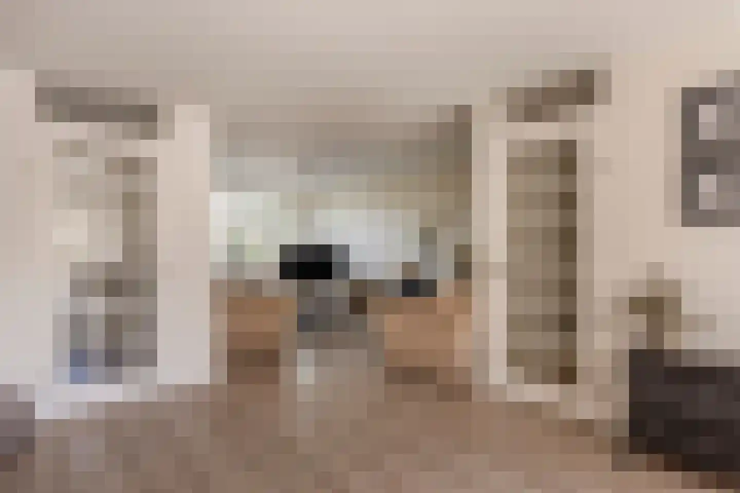 Van Doornicksingel 20 Wateringen thumbnail 7