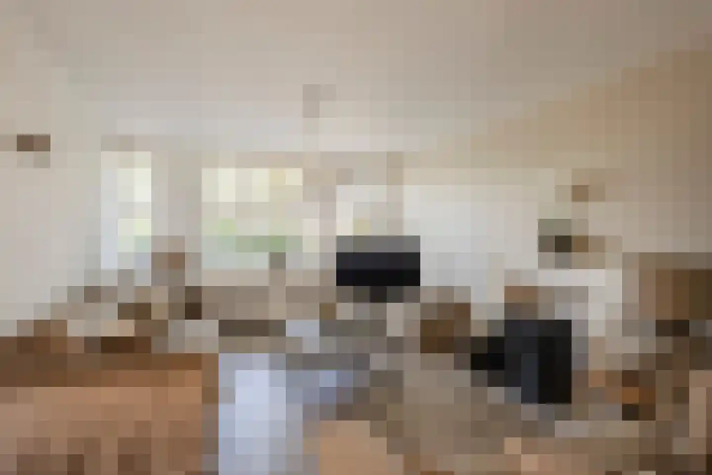 Van Doornicksingel 20 Wateringen thumbnail 8