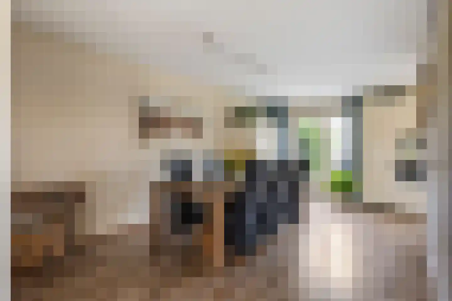 Van Doornicksingel 38 Wateringen thumbnail 13