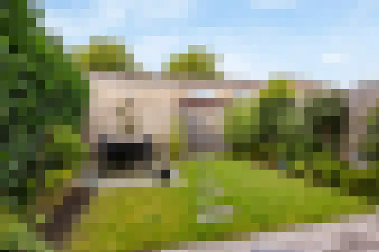 Van Doornicksingel 38 Wateringen thumbnail 22