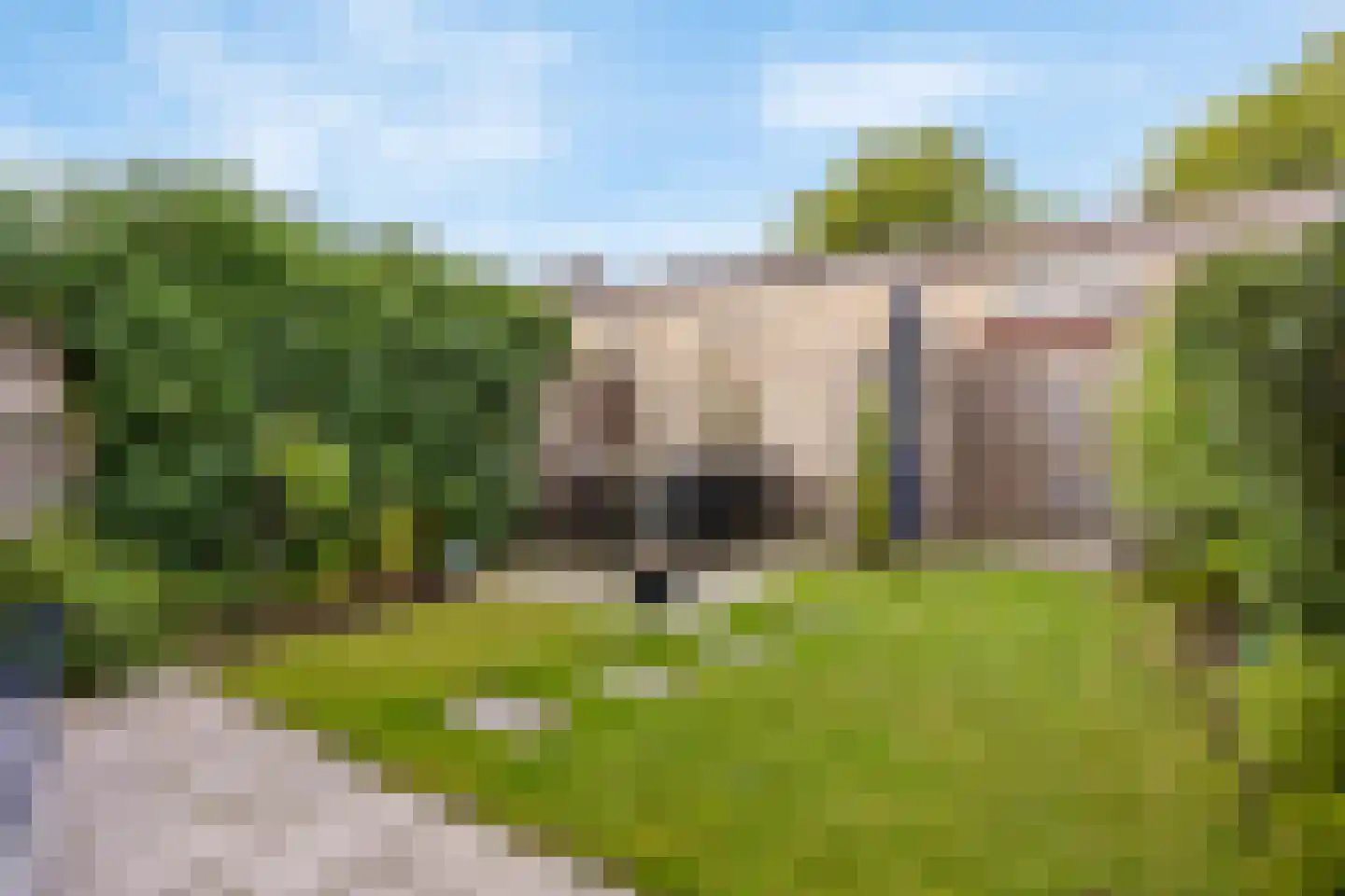 Van Doornicksingel 38 Wateringen thumbnail 23
