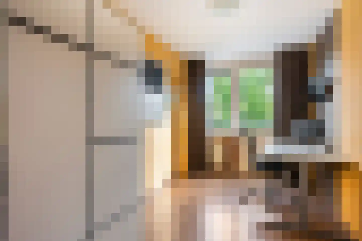 Van Doornicksingel 38 Wateringen thumbnail 33