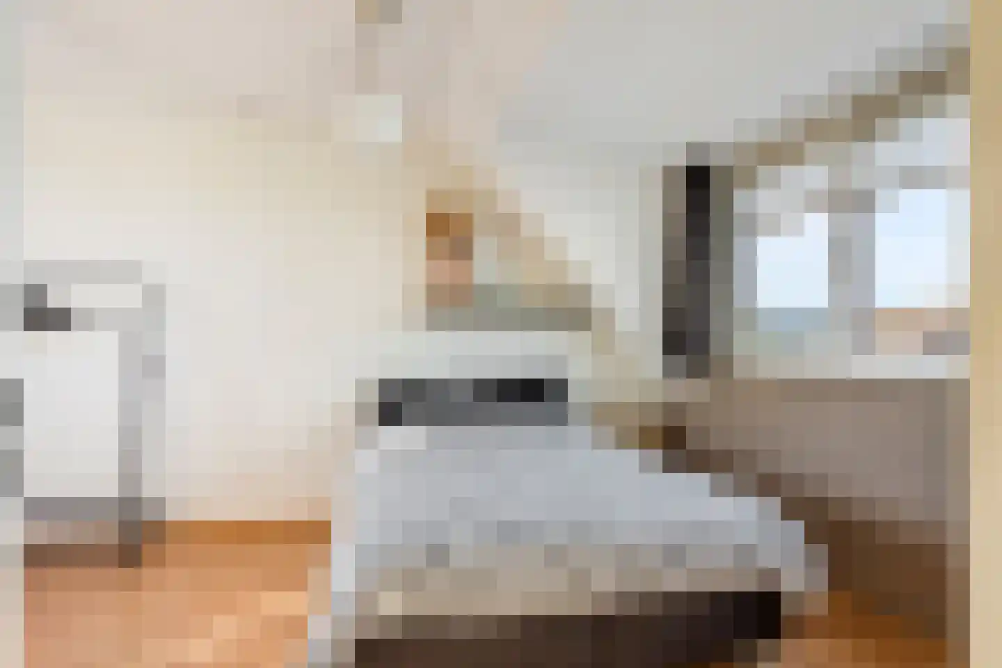 Van Doornicksingel 38 Wateringen thumbnail 41