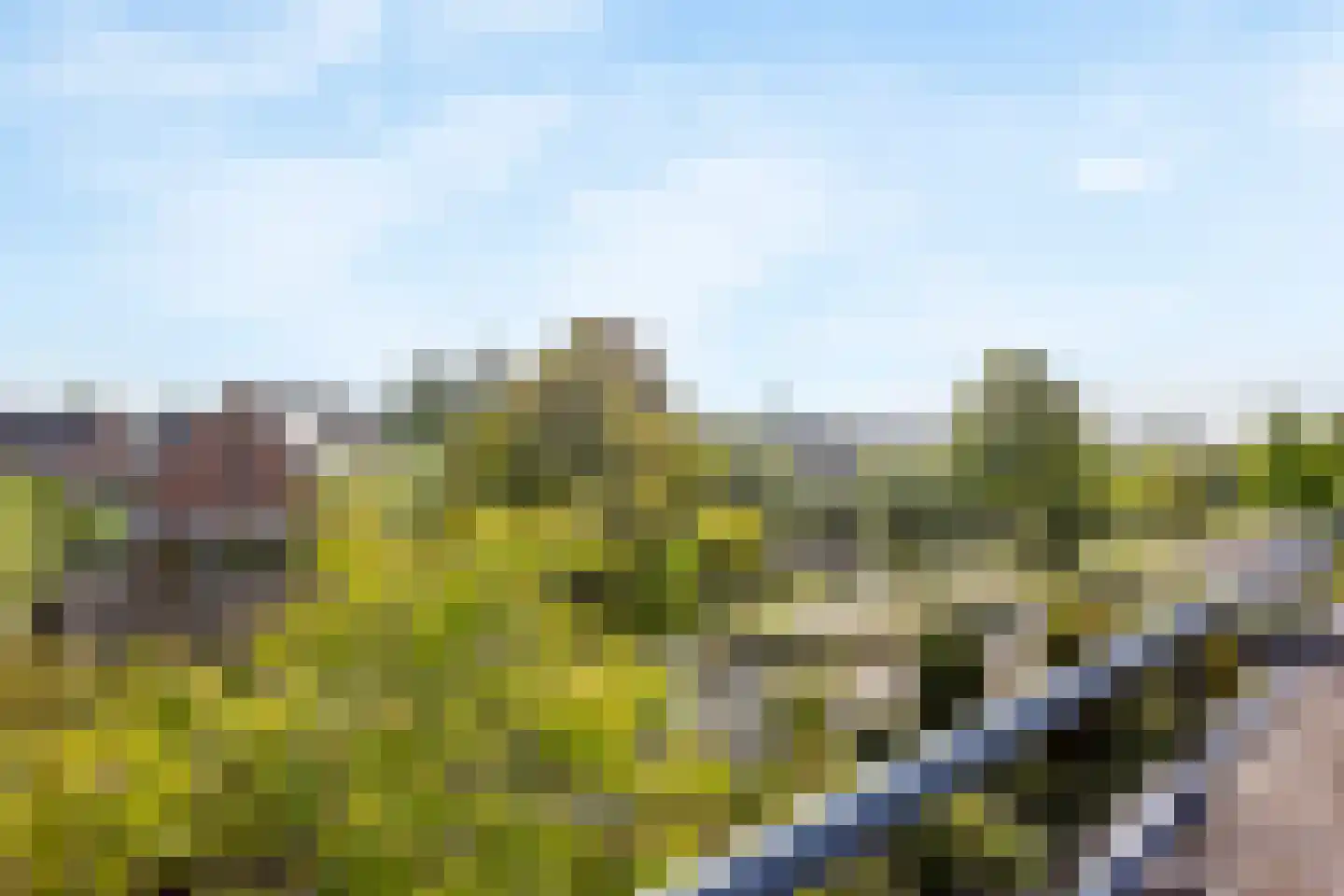 Van Doornicksingel 38 Wateringen thumbnail 5