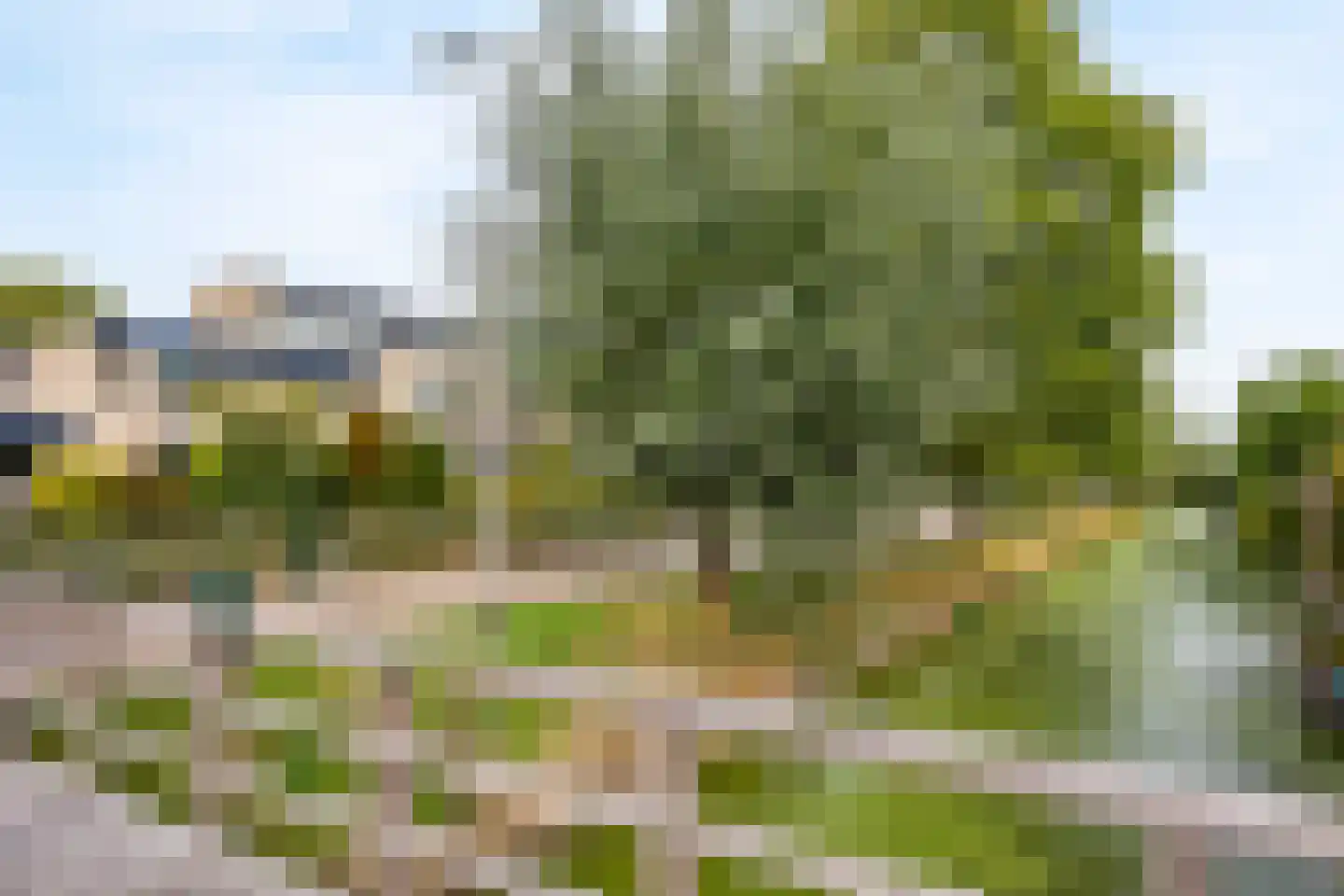Van Doornicksingel 38 Wateringen thumbnail 53