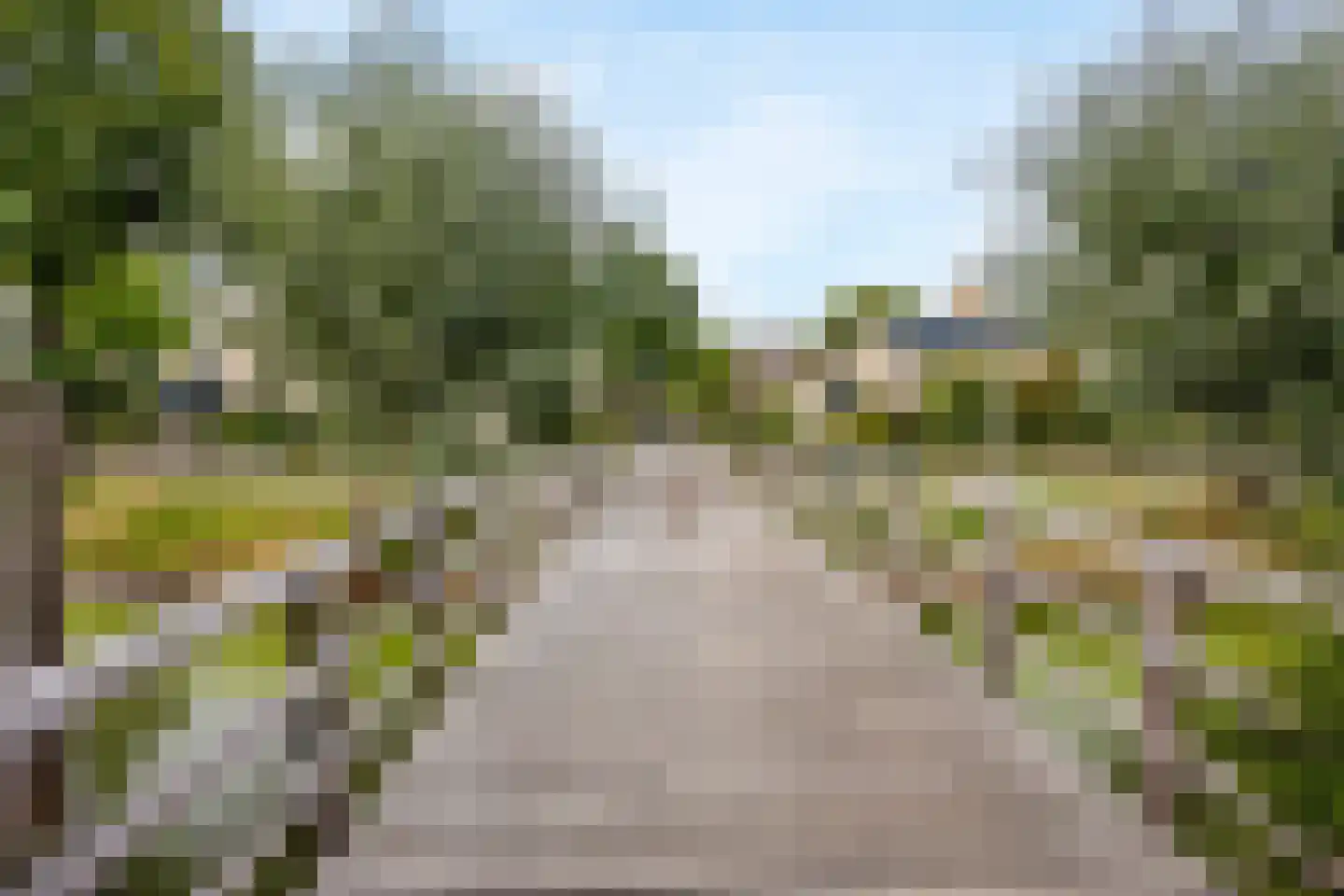 Van Doornicksingel 38 Wateringen thumbnail 54