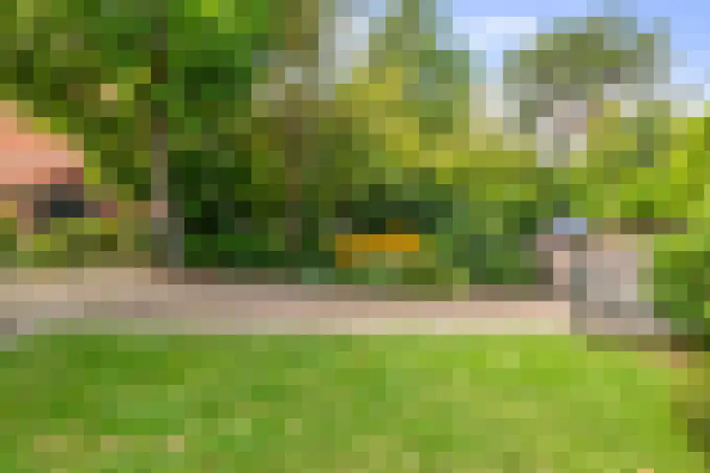 van Doornincklaan 31 Bennebroek thumbnail 44