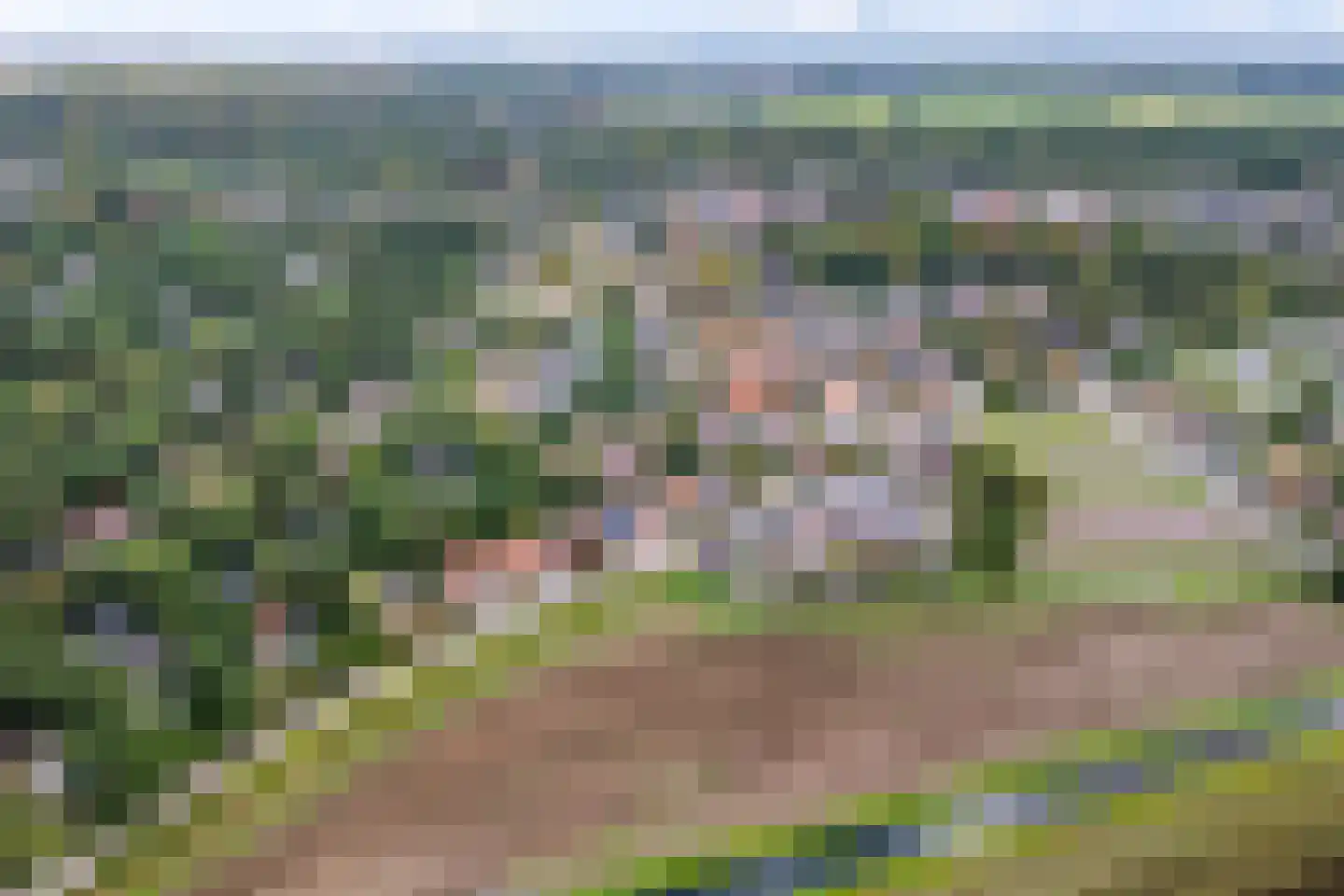 van Doornincklaan 31 Bennebroek thumbnail 49