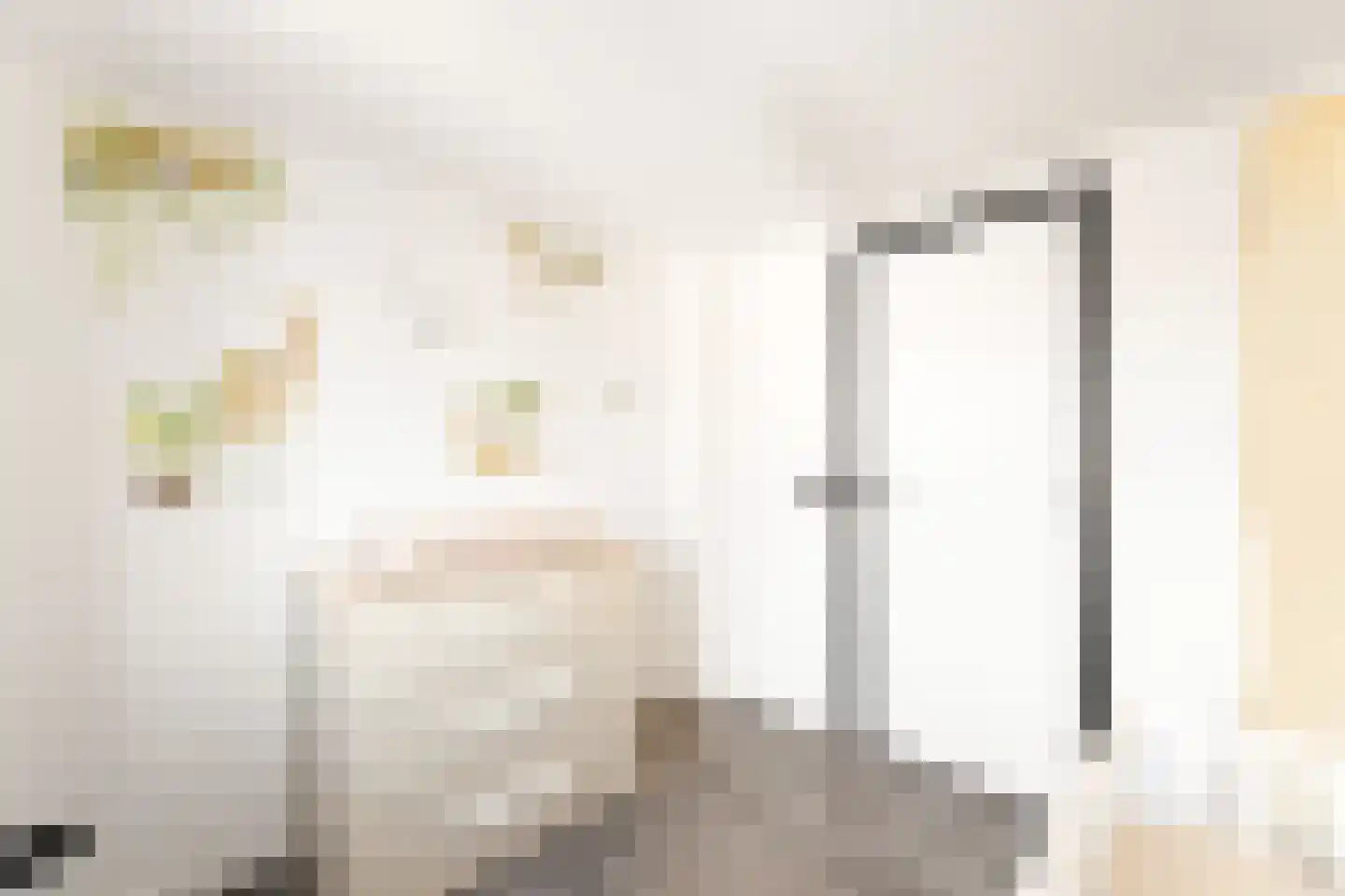 Van Doornlaan 34 Vlissingen thumbnail 33