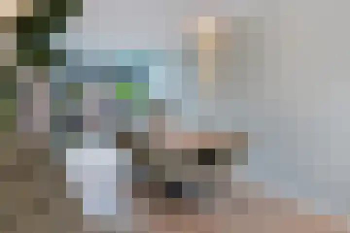 Van Doornlaan 4 Vlissingen thumbnail 12