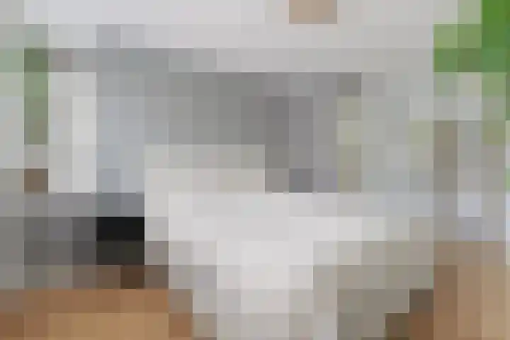 Van Doornlaan 4 Vlissingen thumbnail 19