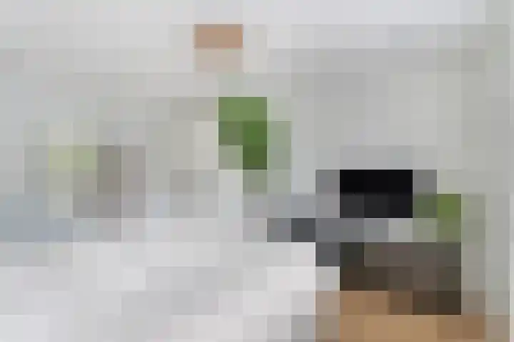 Van Doornlaan 4 Vlissingen thumbnail 20