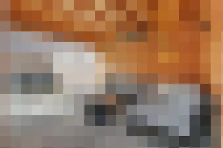 Van Doornlaan 4 Vlissingen thumbnail 31