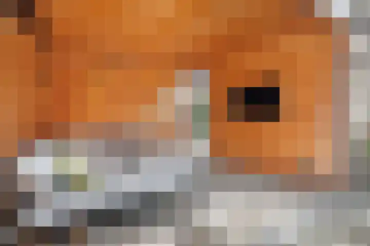 Van Doornlaan 4 Vlissingen thumbnail 32