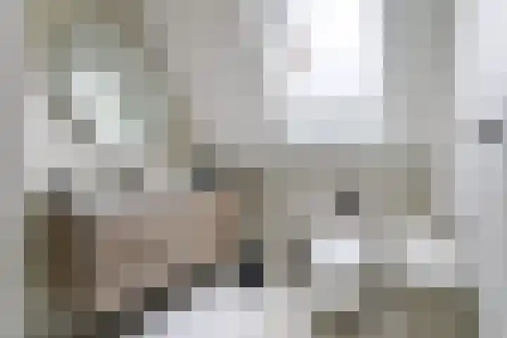 Van Doornlaan 4 Vlissingen thumbnail 4