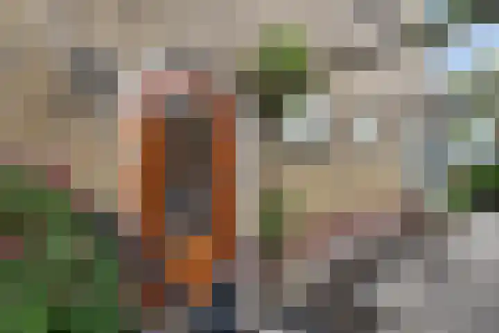 Van Doornlaan 4 Vlissingen thumbnail 6