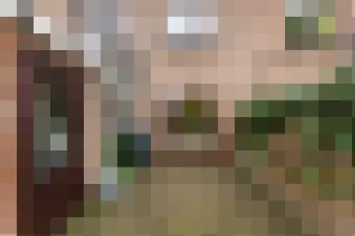 Van Doornlaan 8 Vlissingen thumbnail 19