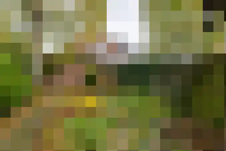 Van Doornlaan 8 Vlissingen thumbnail 20