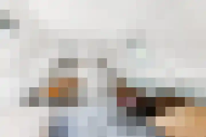 Van Doornlaan 8 Vlissingen thumbnail 29
