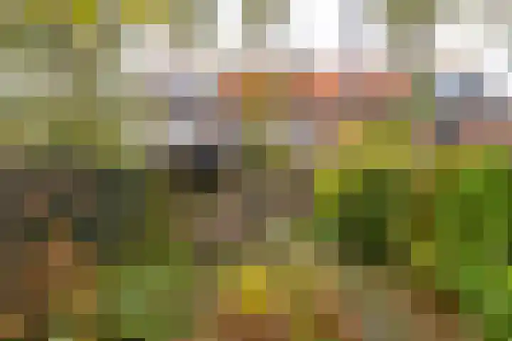 Van Doornlaan 8 Vlissingen thumbnail 5