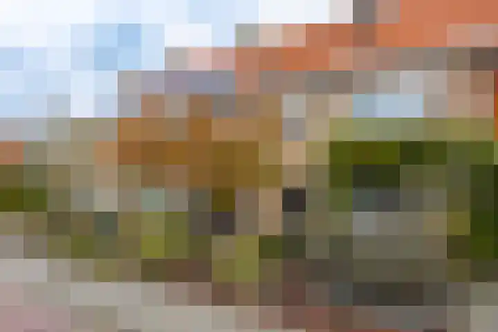 Van Doornlaan 8 Vlissingen thumbnail 9