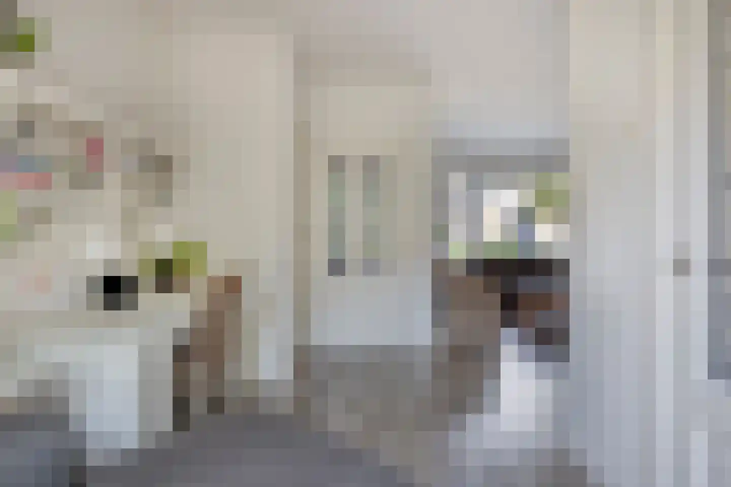 Van Doremalenstraat 5 Made thumbnail 10