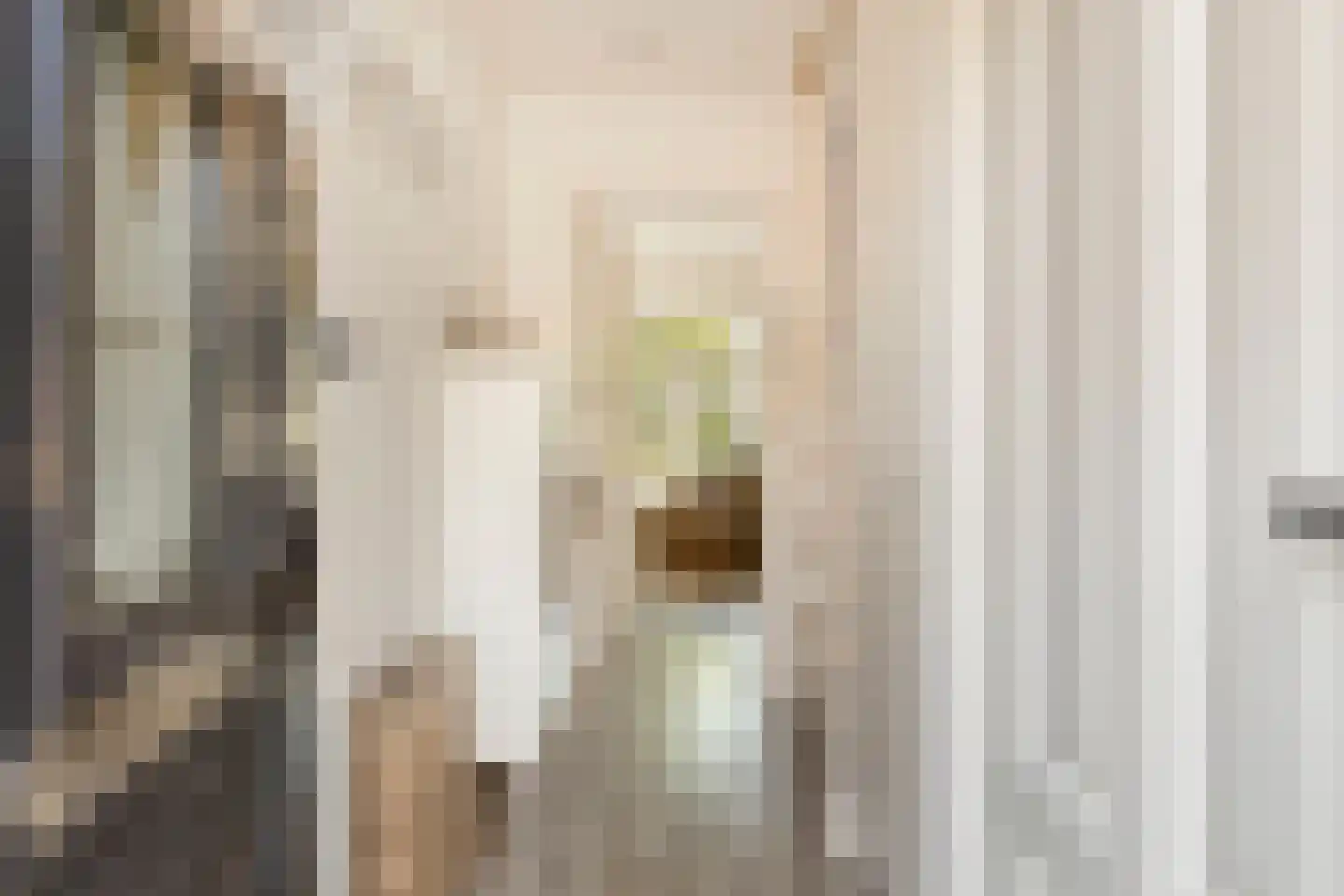 Van Doremalenstraat 5 Made thumbnail 16