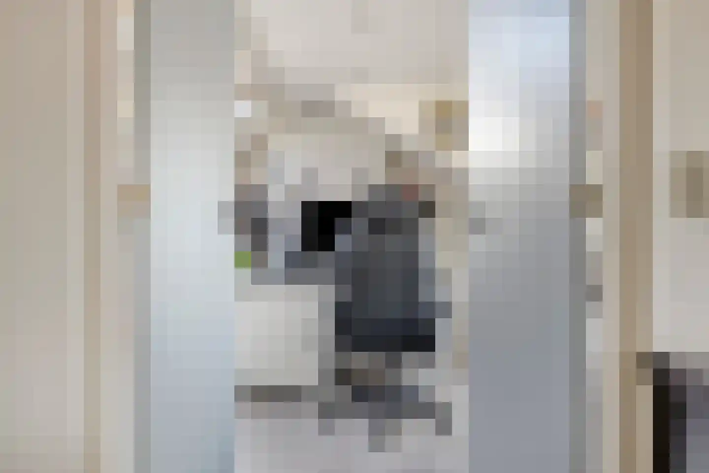Van Doremalenstraat 5 Made thumbnail 28