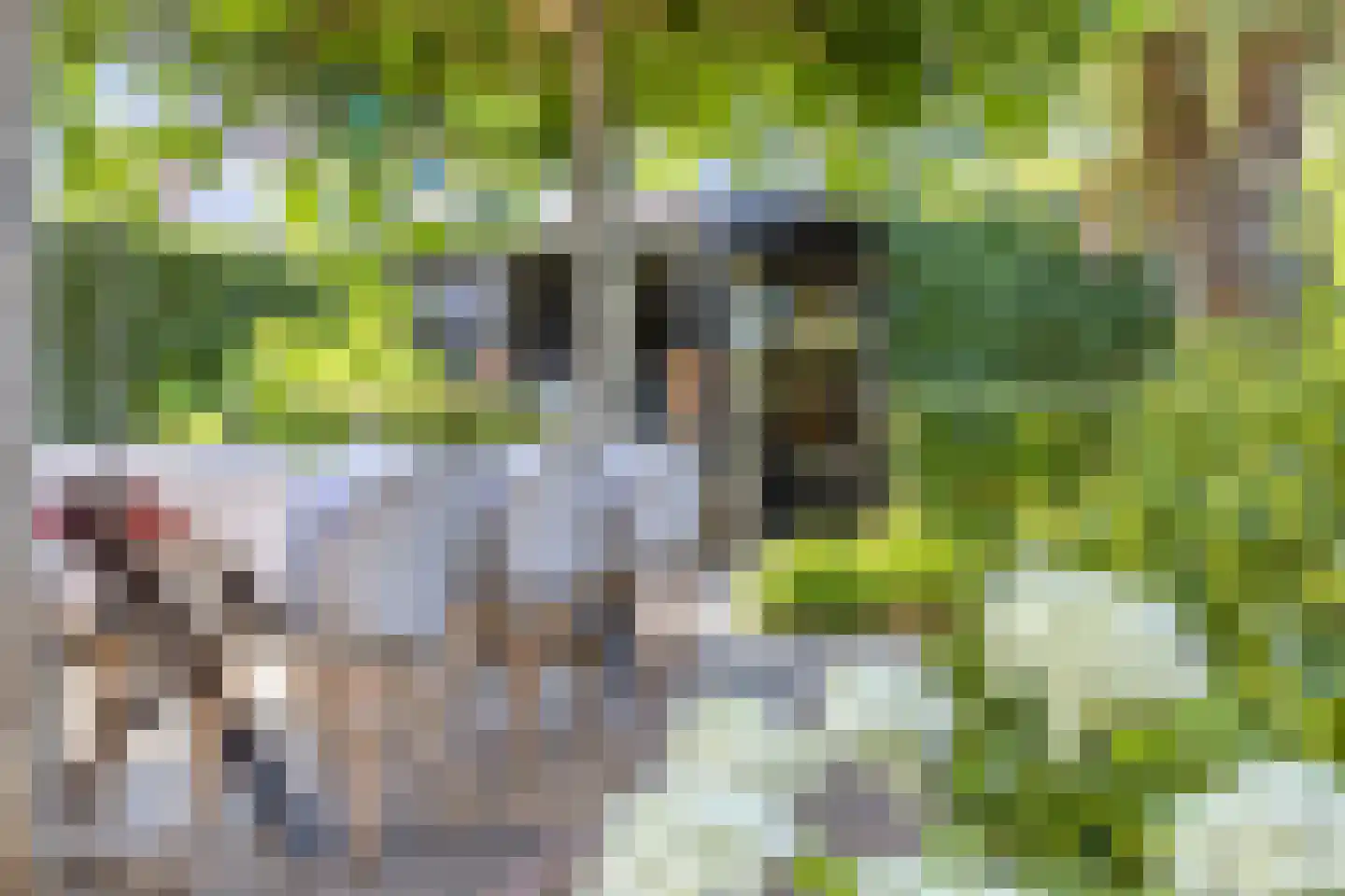 Van Doremalenstraat 5 Made thumbnail 31