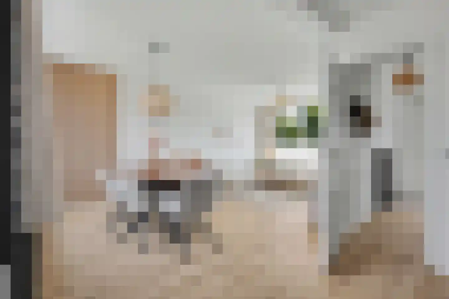 van Dorenborchstraat 36 Zutphen thumbnail 6