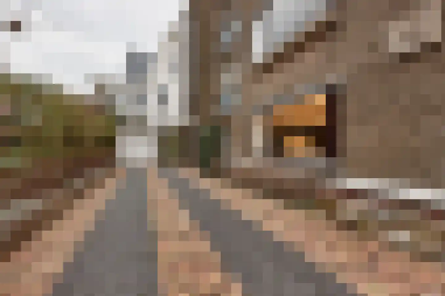 Van Dorpstraat 1 D Den Haag thumbnail 28