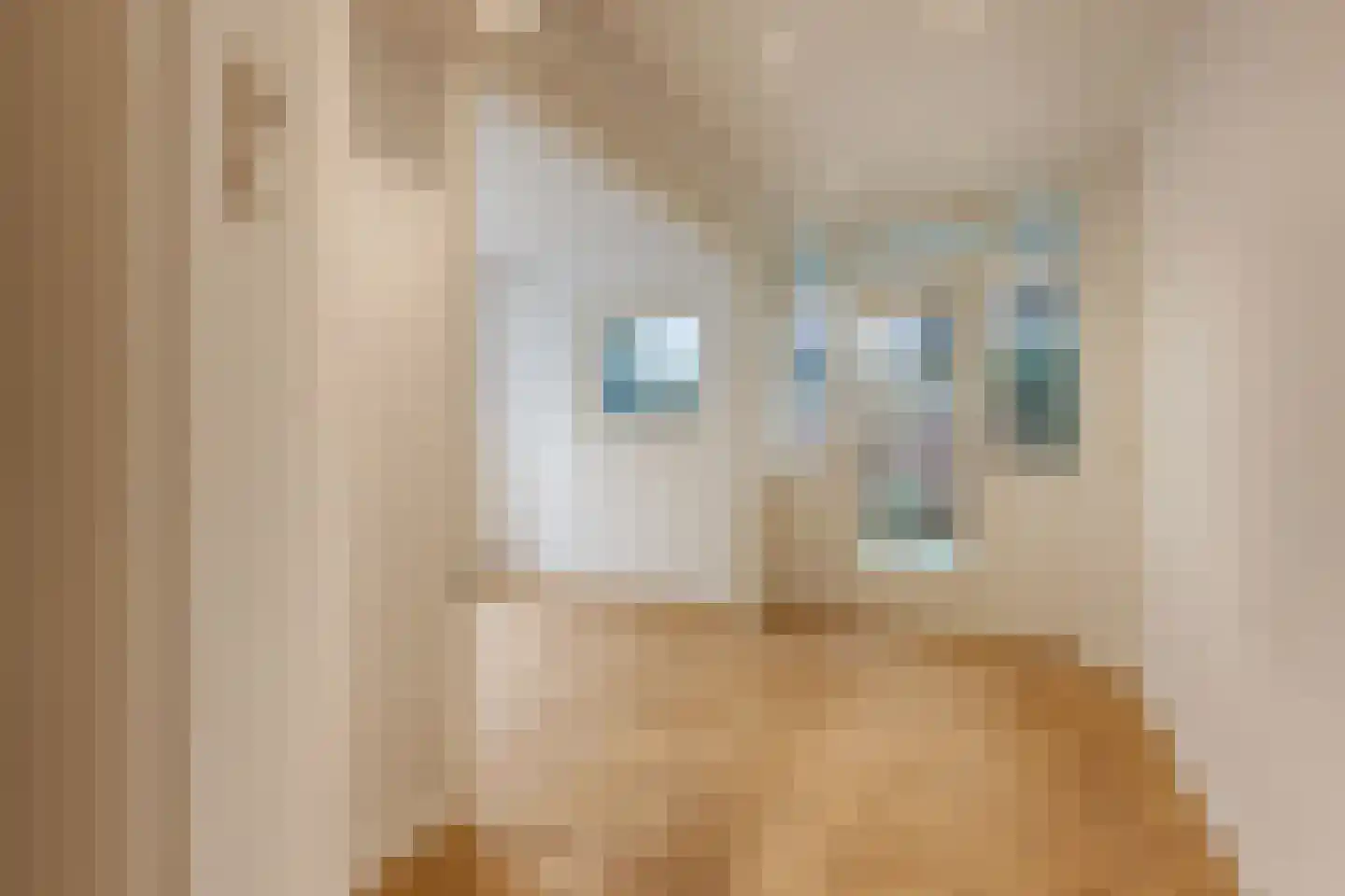 Van Dorpstraat 1 D Den Haag thumbnail 6