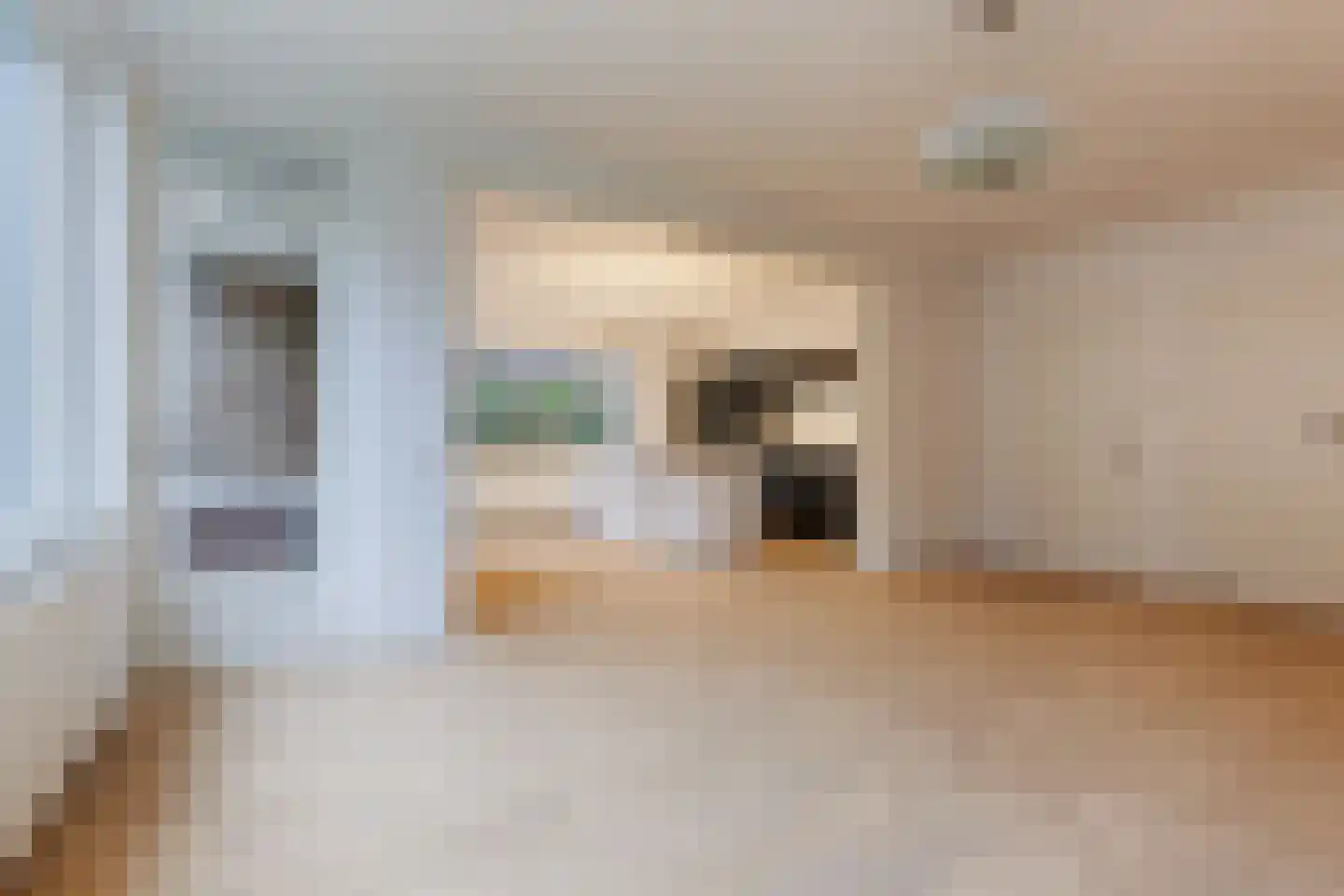 Van Dorpstraat 1 D Den Haag thumbnail 9
