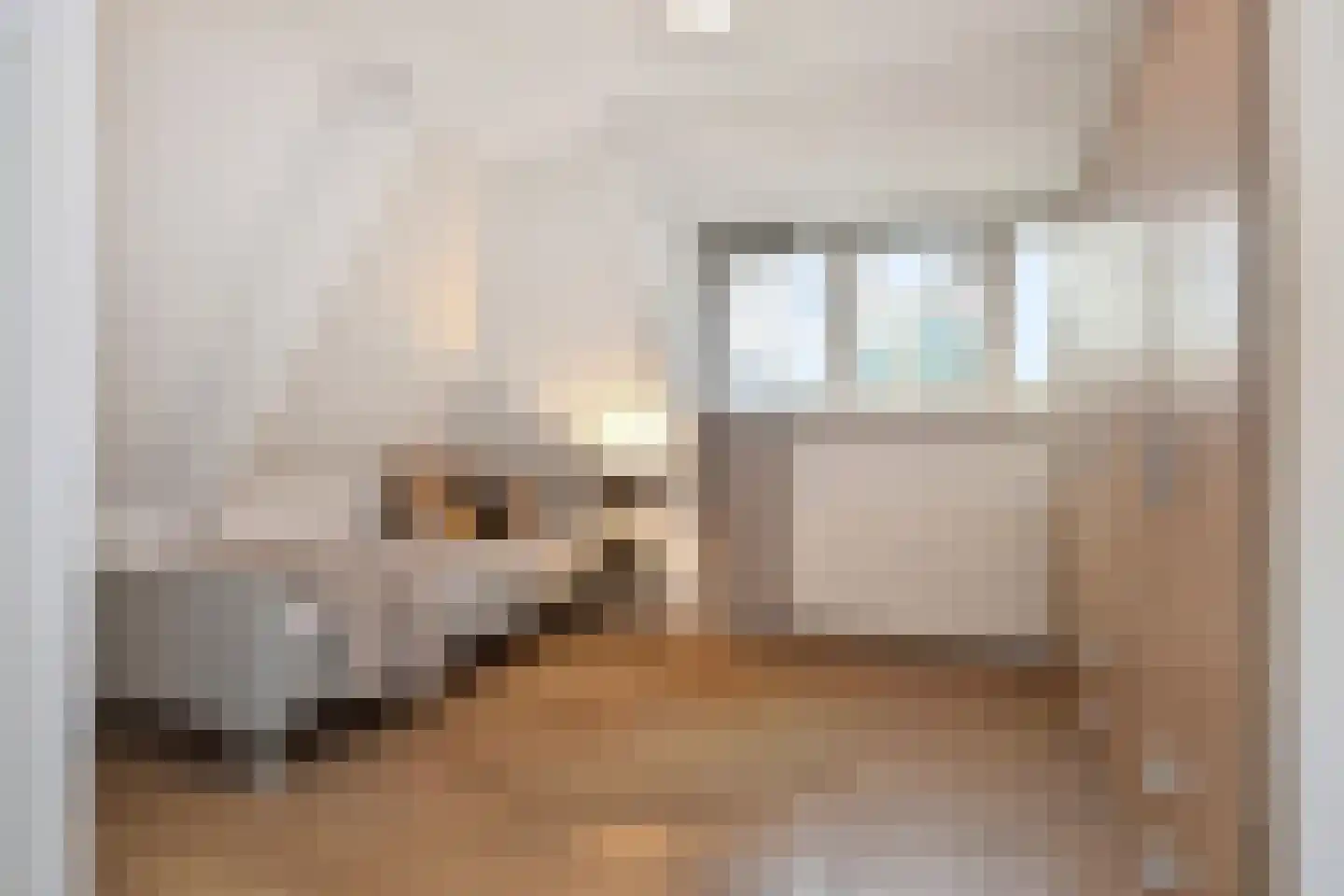 Van Dorpstraat 22 A Den Haag thumbnail 37