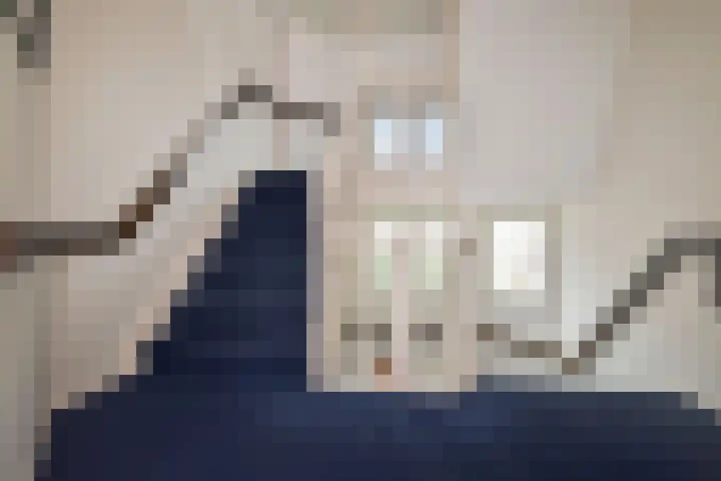 Van Dorpstraat 22 A Den Haag thumbnail 5