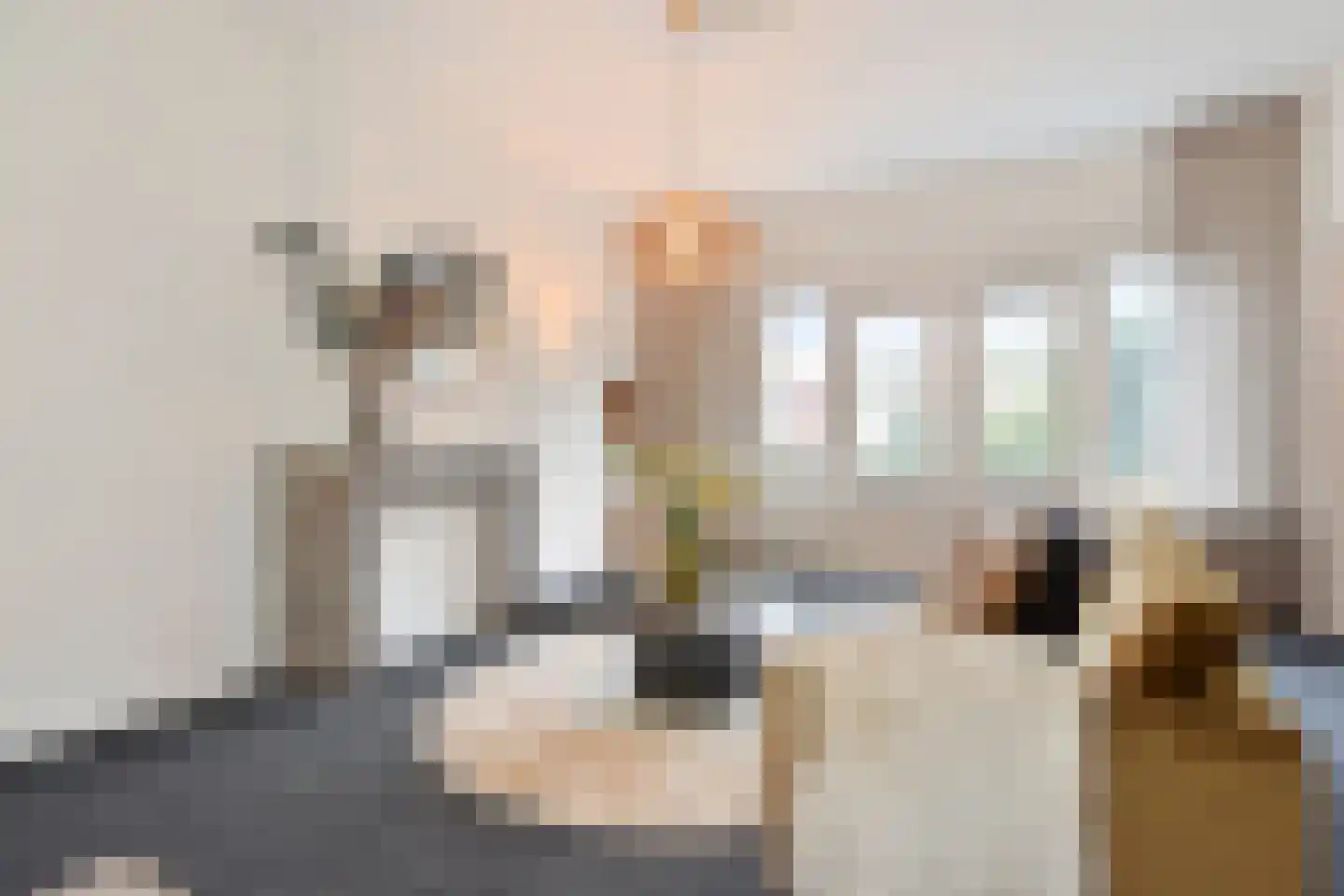 Van Dorpstraat 22 A Den Haag thumbnail 8
