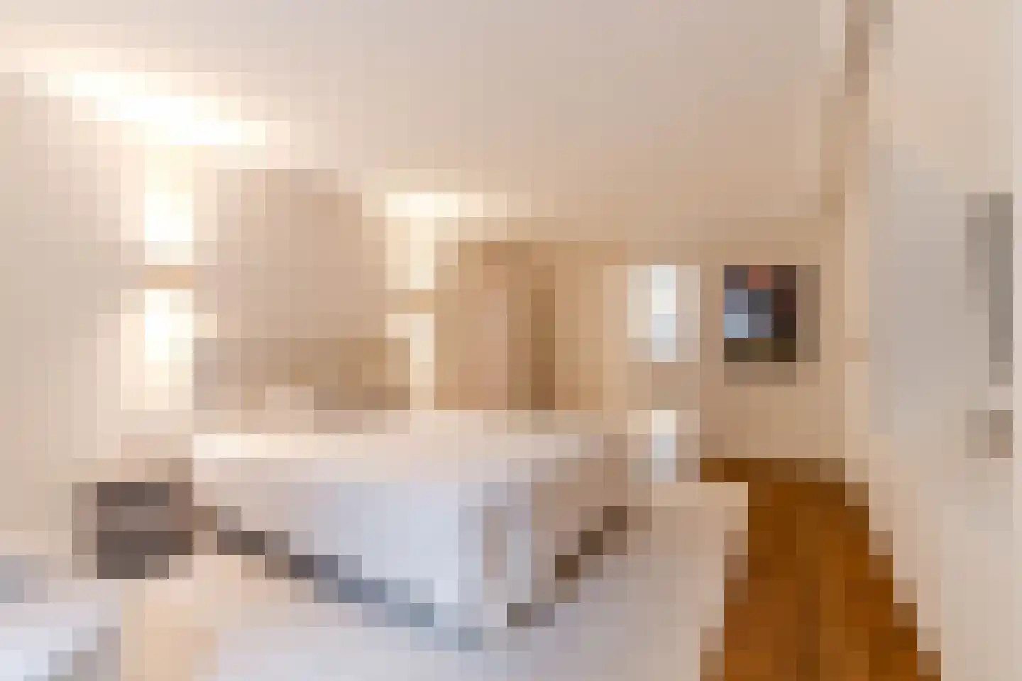 Van Dorpstraat 22 C Den Haag thumbnail 40