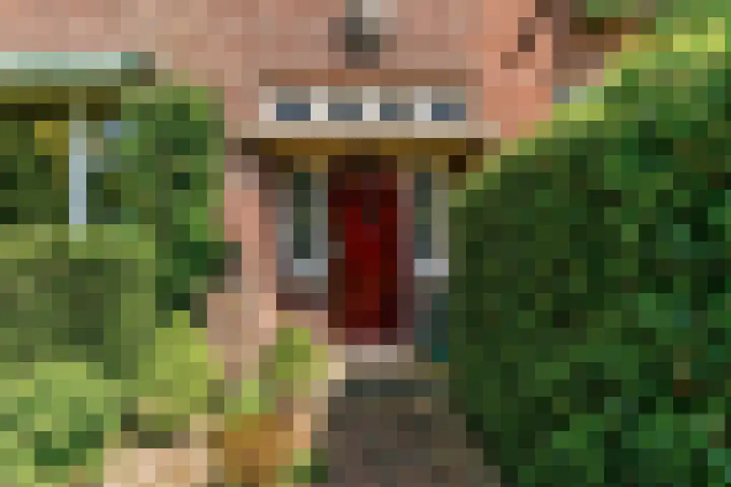 Van Dorpstraat 26 Den Haag thumbnail 51