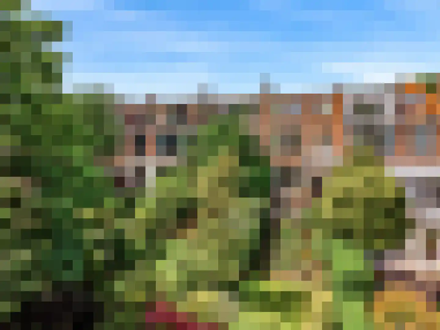 Van Dorpstraat 26 Den Haag thumbnail 56
