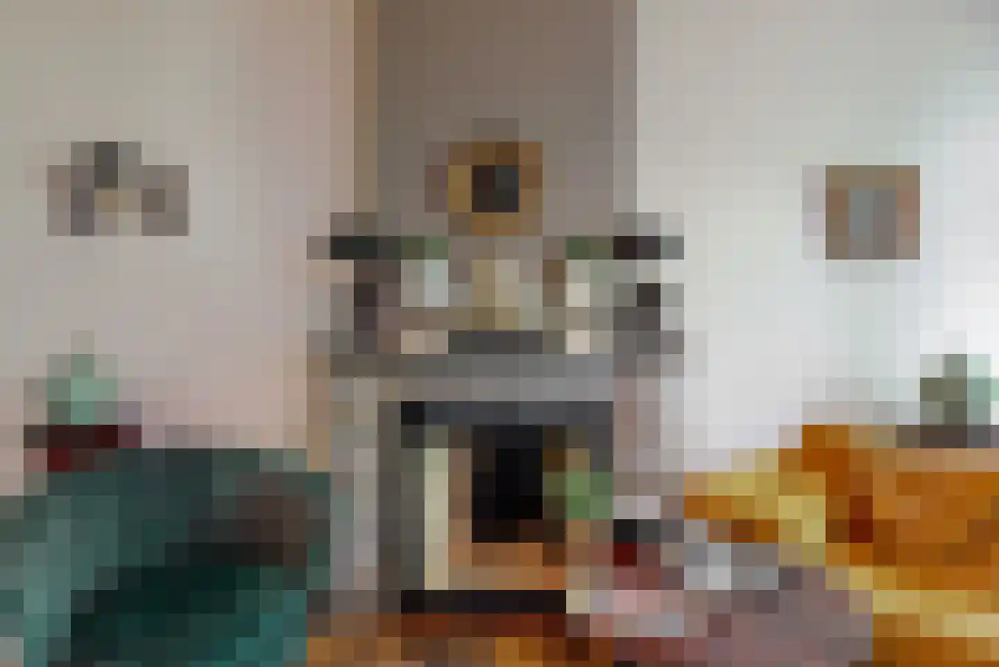 Van Dorpstraat 26 Den Haag thumbnail 9