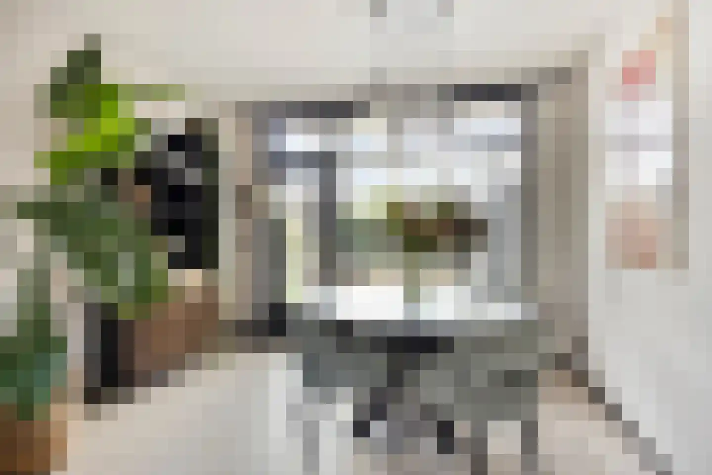van Dorthstraat 32 Zutphen thumbnail 7