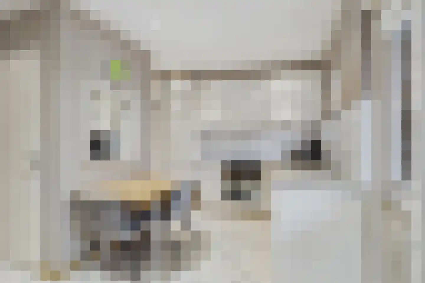 van Dortmontlaan 18 Hulst thumbnail 11